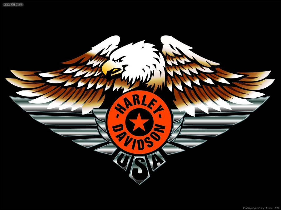 Download free Us Eagle Harley Davidson Logo Wallpaper - MrWallpaper.com