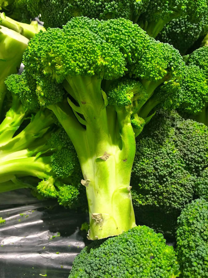 A close-up of some broccoli