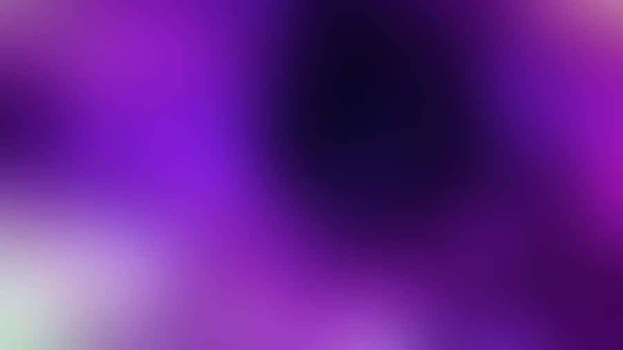 Vibrant White And Purple Colors Form A Blooming Floral Design Wallpaper