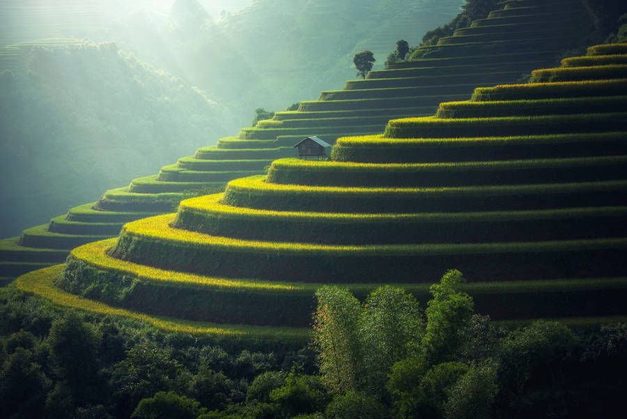 Emerald Green Rice Terraces Tropical Paradise Smartphone Phone Wallpaper.  Generative AI Stock Illustration - Illustration of faraway, phone: 274280978