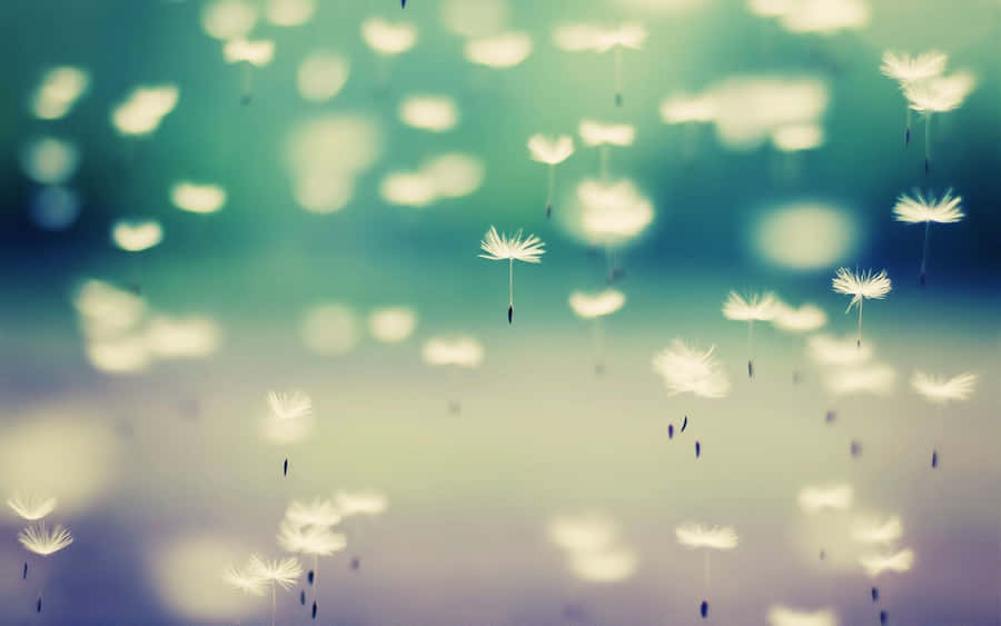 Vintage Desktop Floating Dandelion Wallpaper