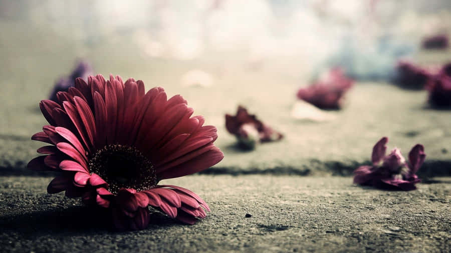 Vintage Desktop Flower On Ground Wallpaper