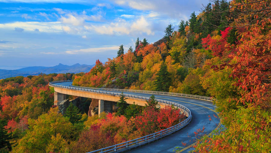 Explore Living in Asheville NC - Town Mountain Preserve