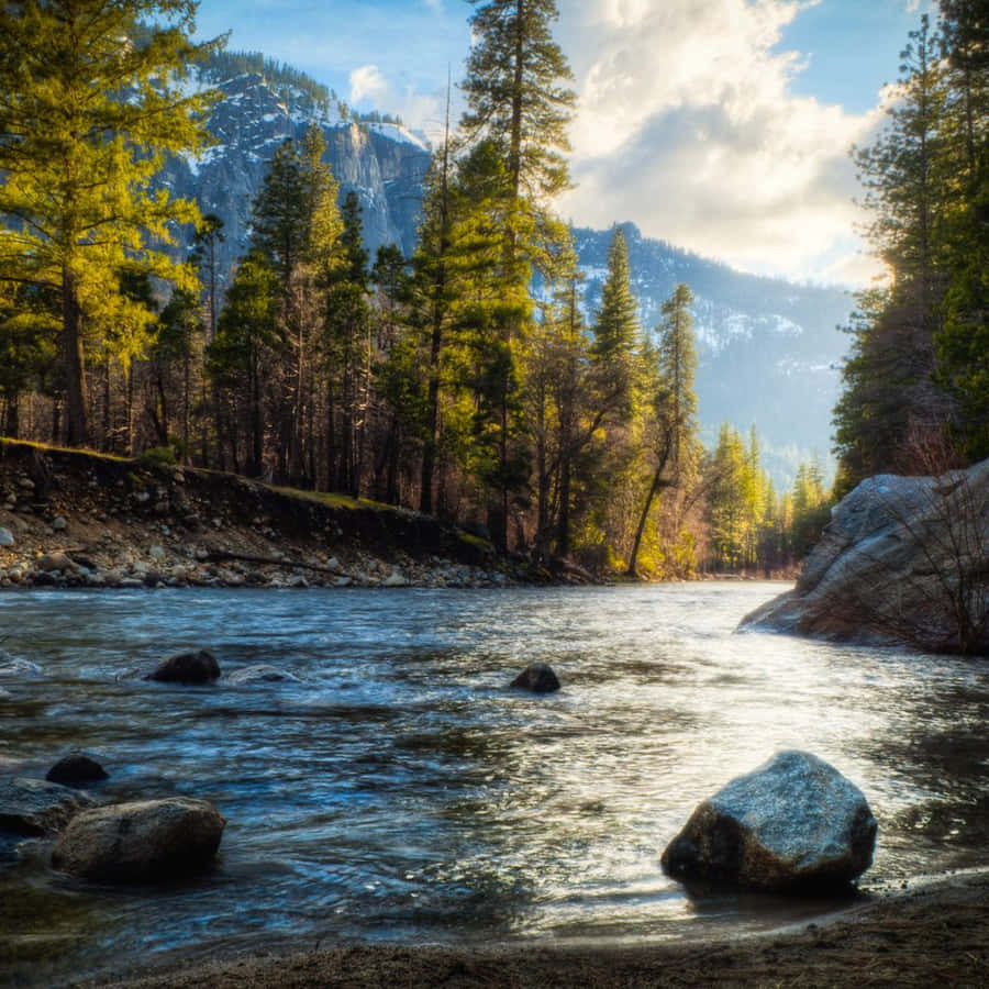 Wake Up To Life's Vibrant Colors With A Nature Ipad Wallpaper