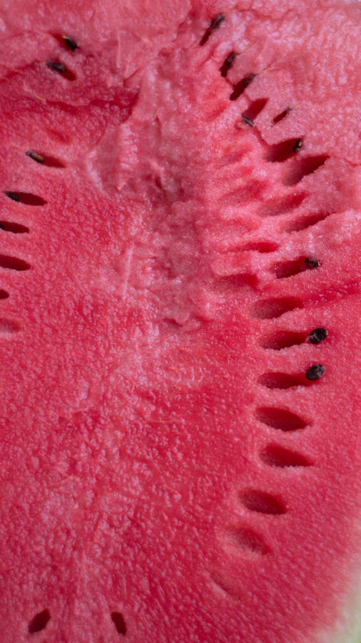 Watermelon Seeds Macro Shot Wallpaper