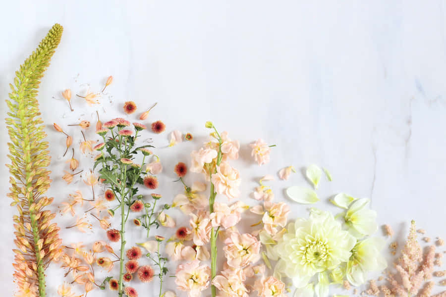 Welcome Spring With This Stunning Aesthetic Desktop Wallpaper Wallpaper