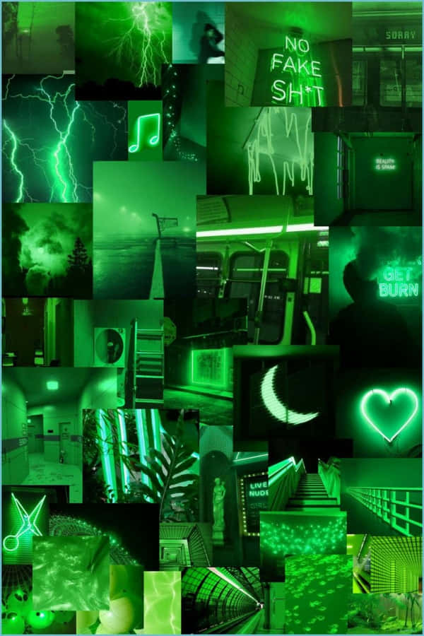 Welcome To Green Collage, The Perfect Environment For Learning Wallpaper