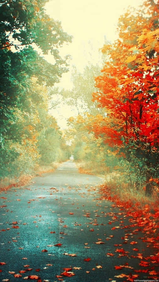 Welcome To The Beauty Of Nature Wallpaper