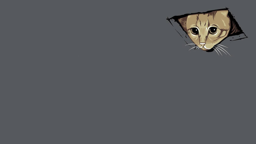 When You Try To Find A Way Out Of A Situation, But Your Ceiling Cat Meme Won’t Budge Wallpaper
