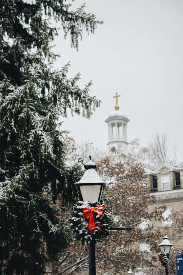 White Christmas Park Iphone Wallpaper