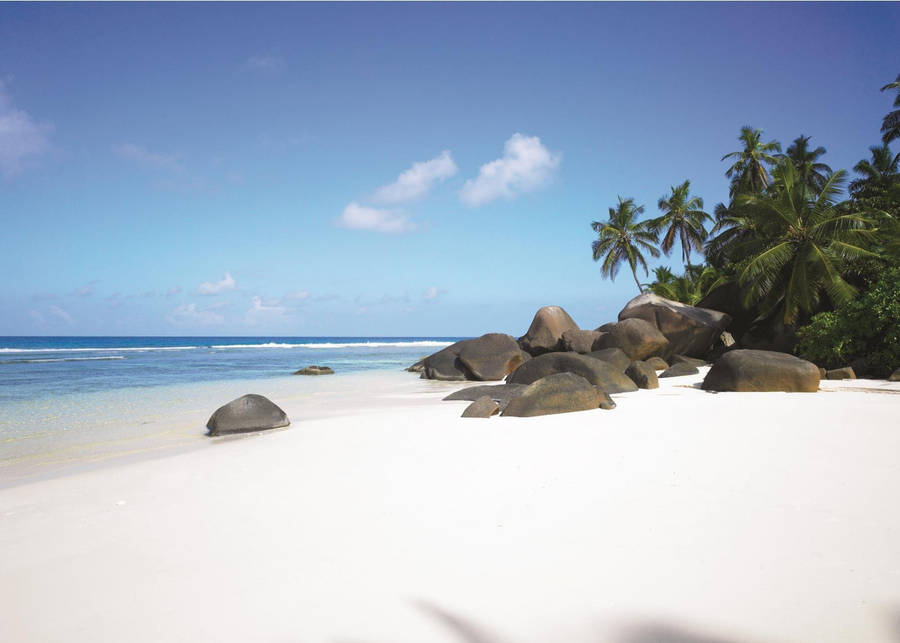 Seychelles - backiee