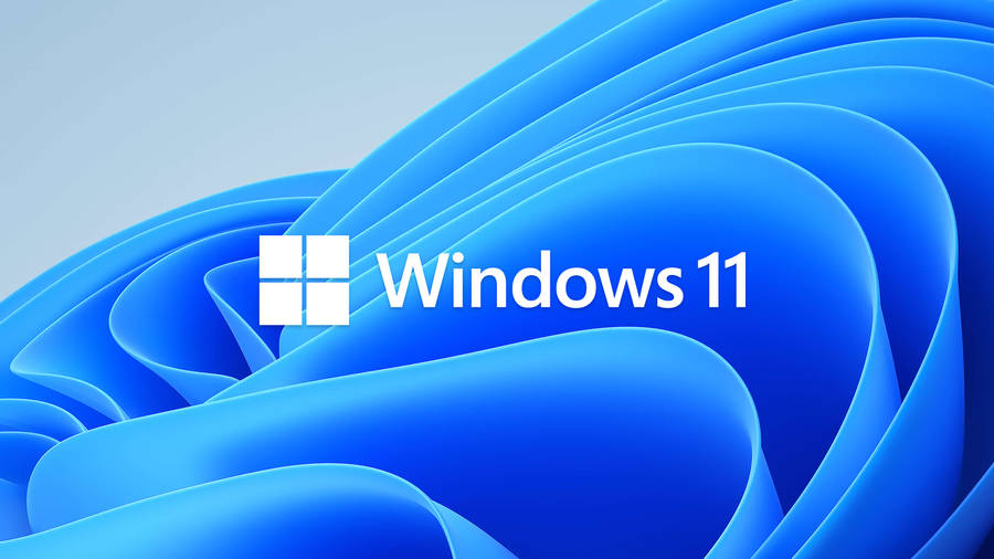 Download Free Windows 11 Blue Flower Pattern Wallpaper - Mrwallpaper.com