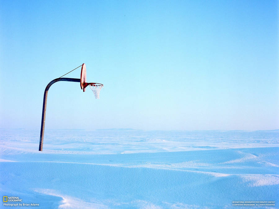 'winter Won't Stop Them From Dribbling' Wallpaper