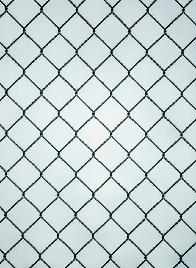Woven Wire Fence Pattern Wallpaper