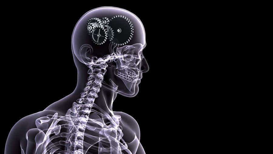 X Ray Vision Wallpaper