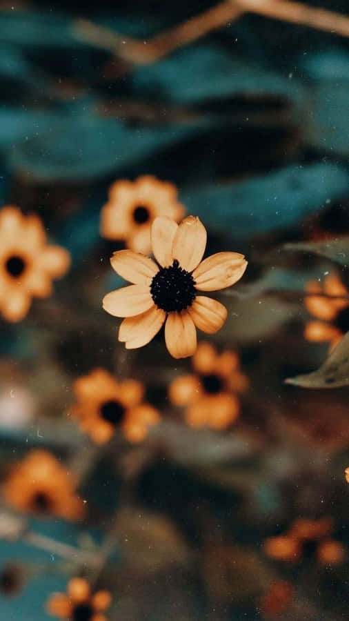 Yellow Flower Macro Shot Nature Aesthetic Phone Wallpaper