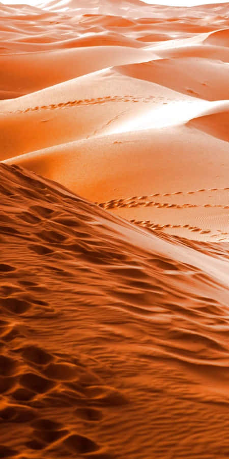 Your Favorite Iphone Now In The Desert Wallpaper