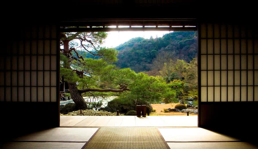 Zen Desktop Indoor To Outdoor View Wallpaper