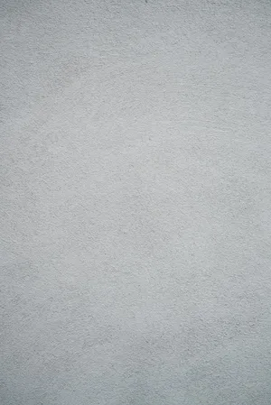 1. Cute Grey, Along For The Ride Wallpaper