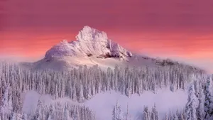 1366 X 768 Winter Forest Sunset Sky Wallpaper