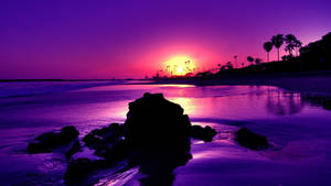 1920x1080 4k Purple Sunset At Beach Wallpaper