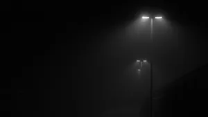1920x1080 Black Street Lampposts Wallpaper