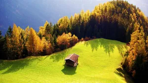 1920x1080 Full Hd Nature Aerial Shot House Wallpaper