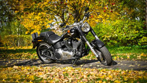 1920x1080 Hd Bikes Black Harley-davidson Wallpaper