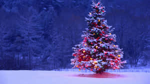 1920x1080 Hd Christmas Tree Wallpaper