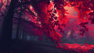 1920x1080 Hd Nature Red Forest Wallpaper