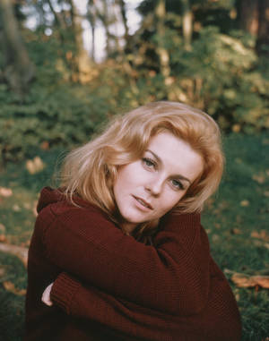 1965 Ann Margret On The Set Of Carnal Knowledge Wallpaper