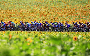 2010 Tour De France Competition Wallpaper