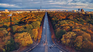 2560 X 1440 Road In Between Autumn Forest Wallpaper