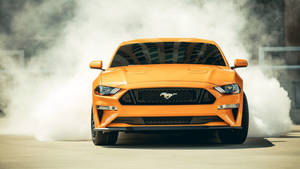2560x1440 Car Yellow 2019 Ford Mustang Wallpaper