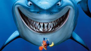 2560x1440 Disney Marlin And Dory Frightened Wallpaper