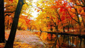2560x1440 Fall Trees By The River Wallpaper