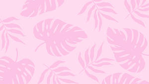 2560x1440 Summer Plants Pink Aesthetic Wallpaper