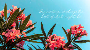 2560x1440 Summer Quote With Flowers Wallpaper
