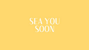 2560x1440 Summer Sea You Soon Wallpaper