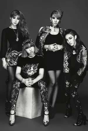 Official: YG-2NE1 Official Website for “I Am The Best” Plus Official  Wallpapers! |