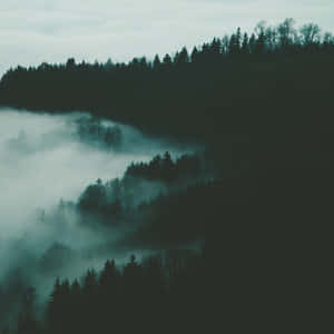 3000x3000 Silhouetted Foggy Mountain Wallpaper