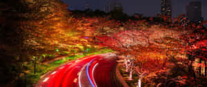 3440x1440 Fall Season Long Exposure Road Wallpaper