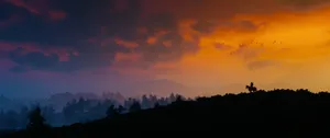 3440x1440 Witcher Geralt On Sunset Hill Wallpaper