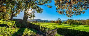 3840x1600 Bright Morning On Green Meadows Wallpaper