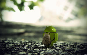 3d Android Logo Wearing Android-bag Desktop Wallpaper