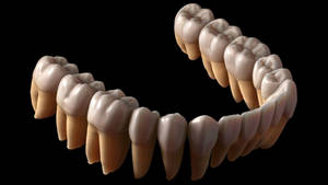 3d Model Of Teeth For Dentists Wallpaper