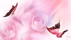 3d Pretty Pink Roses And Butterflies Wallpaper