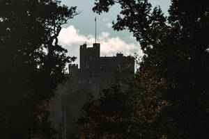 4k Autumn Alnwick Castle Wallpaper