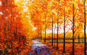 4k Autumn Orange Forest Wallpaper