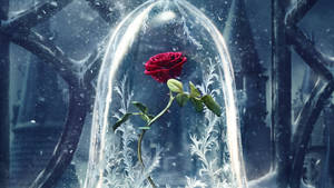 4k Beauty And The Beast Icy Rose Wallpaper